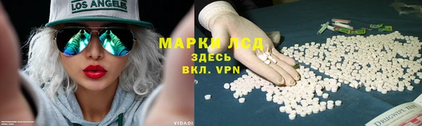 СК Алексин