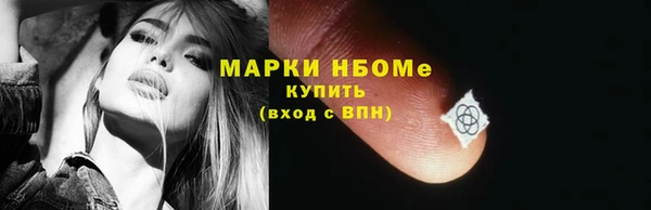 СК Алексин