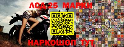 гашик Ставрополь