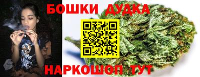 гашик Ставрополь