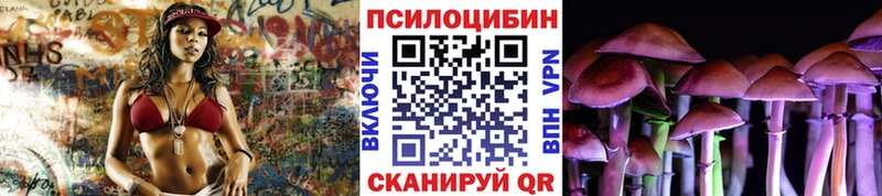 Галлюциногенные грибы Psilocybine cubensis  Углич 