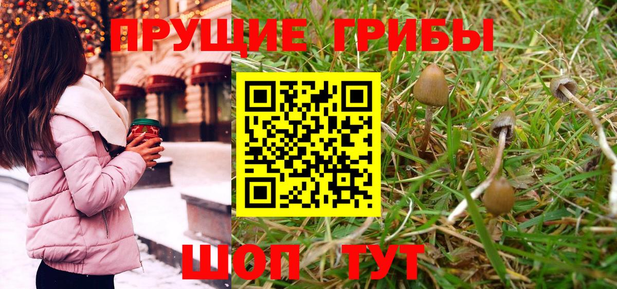 Псилоцибиновые грибы Cubensis  Вход с VPN  Псилоцибиновые грибы Cubensis  Углич 