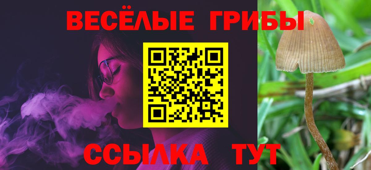 Псилоцибиновые грибы Magic Shrooms Углич